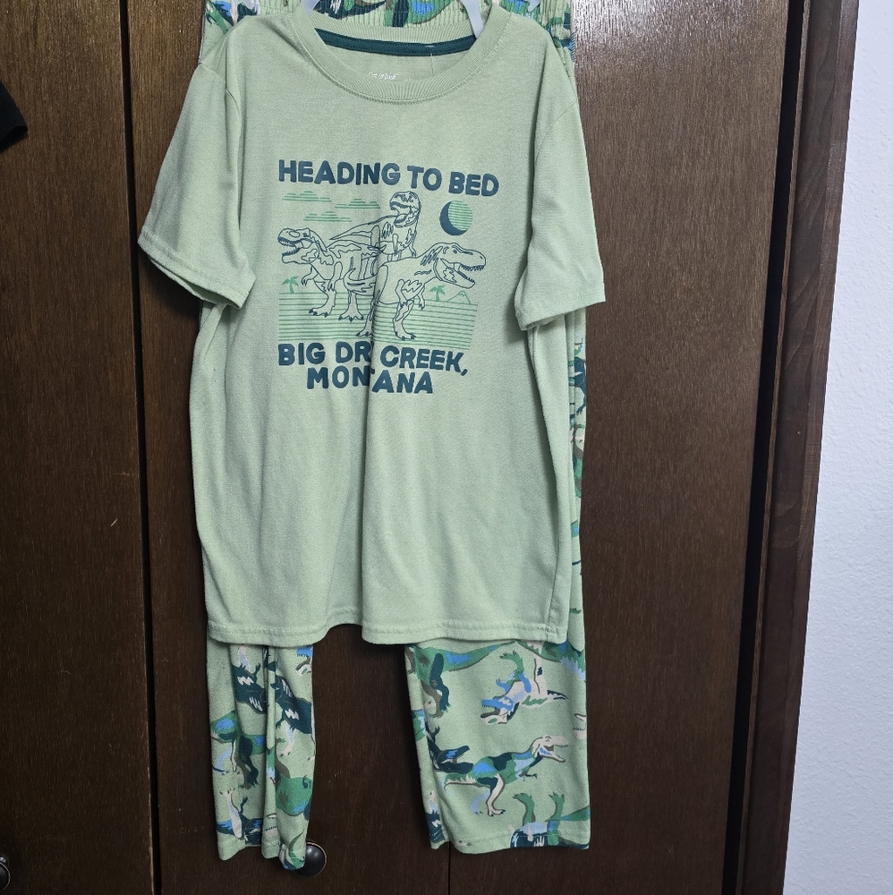 Cat & Jack Dinosaur Pajama Set - Light Green